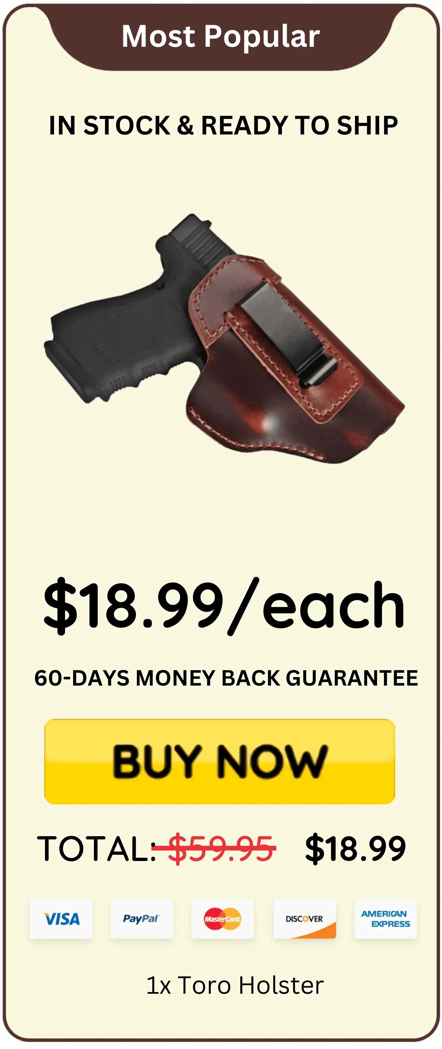 Toro Holster offer price